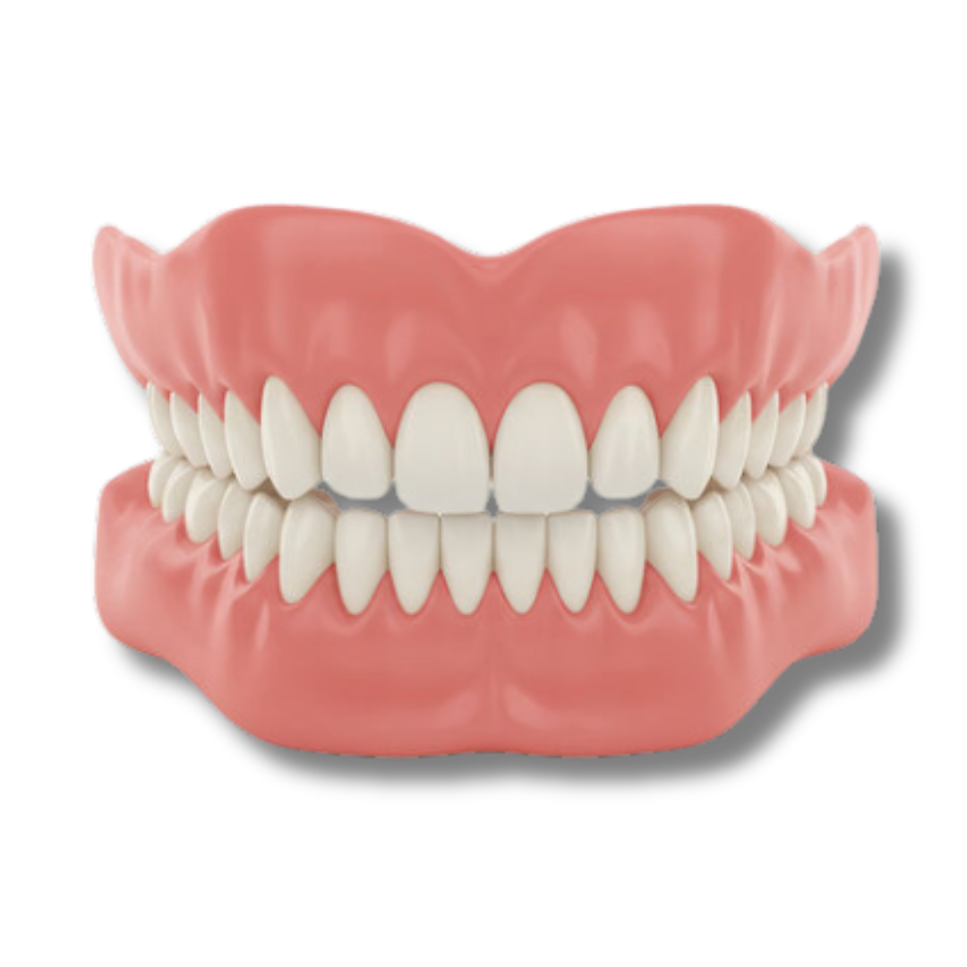 Crozitt™ - Denture Set