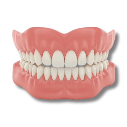 Crozitt™ - Denture Set